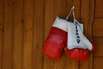 Boxländerkampf zwischen Österreich und der Schweiz