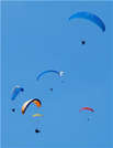 Gleitschirmfliegen in Tirol