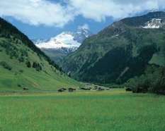 Familien-Sonnenhit in Wildschönau
