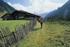 Hart im Zillertal
