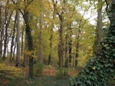 Obernberg am Brenner