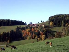 Tirol-Urlaub auf dem Bauernhof