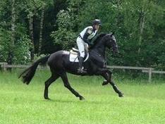 Tirol-Urlaub auf dem Reiterhof Tirol-Urlaub auf dem Reiterhof