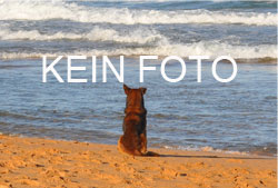 Urlaubs-Specials