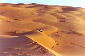 Das Geheimnis der libyschen Wüste im Ferdinandeum