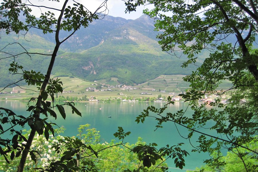 See und Weinberge vor grünen Bergen in Südtirol