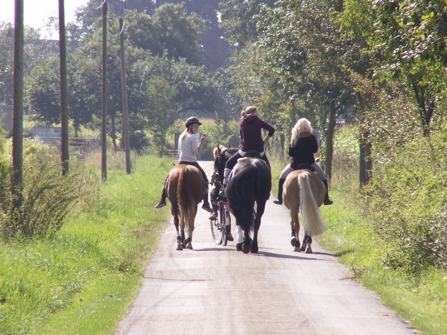 Reiter auf einem grünen Weg bei Landl