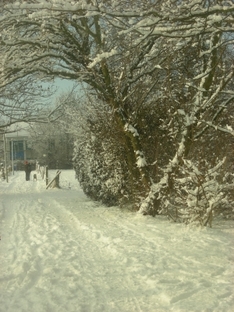 Winterwandern in Tirol