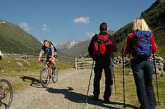 Magie des Gehens in charmanten Wanderbetrieben in Tirol und ganz Österreich spüren