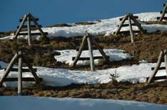 Skier Cross in St. Johann