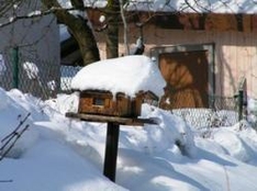 Snowboarden in Tirol