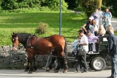 Tirol-Urlaub auf dem Reiterhof