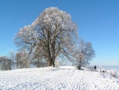 Tirol-Urlaub in der Skihütte