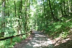 Radfahren in Tirol