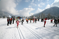 3-Täler-Lauf Achensee Pertisau