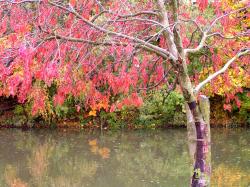 Alpen-Herbst in der Region Imst-Gurgltal