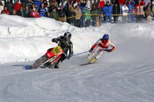 Skijöring Achenkirch 2011