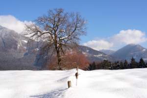 Viele Wintersportarten sind hier möglich