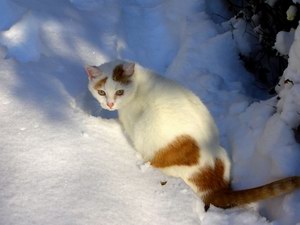 In Hall kann man auch im Winter schöne Ferien verbringen