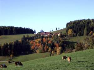 /resources/preview/103/tirol-urlaub-auf-dem-bauernhof.jpg